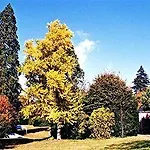 Chateau Les Vallees B&B
