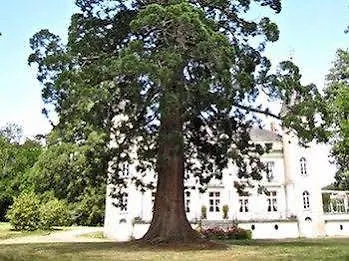 Chateau Les Vallées La Roche-Posay