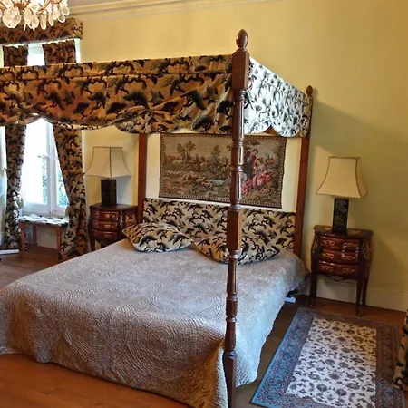 Chateau Les Vallees En Touraine Bed & Breakfast Tournon-Saint-Pierre
