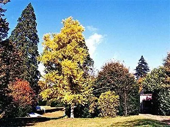 Chateau Les Vallees Bed & Breakfast