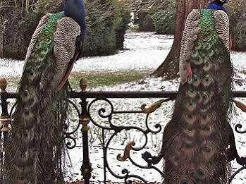 Chateau Les Vallees 4* La Roche-Posay